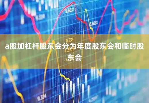 a股加杠杆股东会分为年度股东会和临时股东会