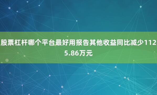 股票杠杆哪个平台最好用报告其他收益同比减少1125.86万元